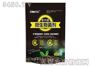 ΢�������-ϲ�r��-�W��ɭ