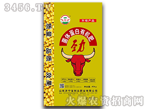 ���w�����ЙC��-�����_