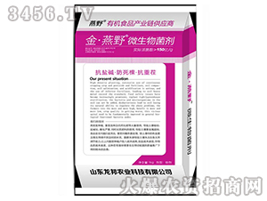 ΢�������-����Ұ-�����ÿ��ز��-�����r�I(y��)