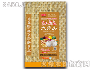 �����^�ͺϷ�-�|�SС���-�|�S