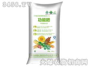 ���ܷ�-����ȫЧ�I�B(y��ng)�M�ϣ�����-�󻯷ʘI(y��)