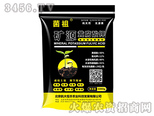 �VԴ�S�����-����-������S