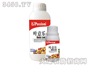 ���Ｄ�-�~�☷(l��)-����ؐ��