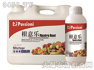 ���Ｄ�-���☷(l��)-����ؐ��