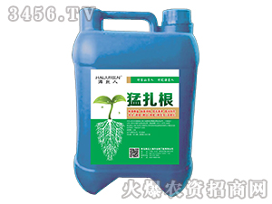 ������-������