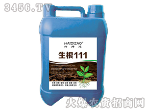 ����111-������-������