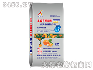 �S�T�ЙC(j��)���ϣ��m���ڸ����(l��i)���-�S�T�ʘI(y��)