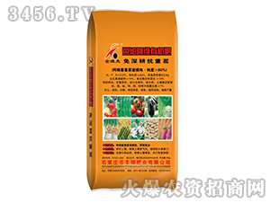 ���ɰ��S�ЙC(j��)��-��S��-�S�T�ʘI(y��)