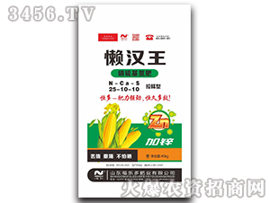 ���������25-10-10-�Нh��-������