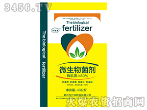 ΢�������-�d�ѷ���