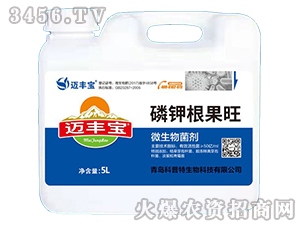 ��⛸�����-�~�S��-������