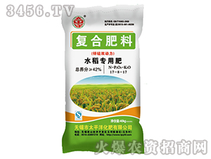 �\���p��(d��ng)��ˮ�����÷�17-8-17-̫ƽ��