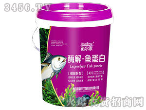 ø�⡤�~����-�����S