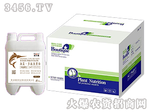 ���塤�����~����-�����S