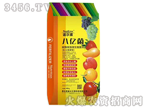 �˃|��-�Z��̩