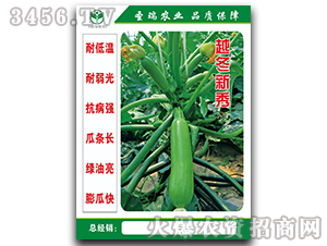 Խ�����㣨һ��-�����J�N��-��ʥ��