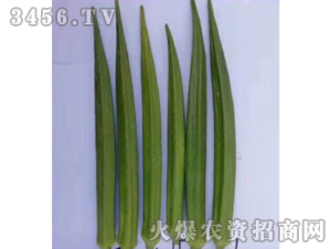 �G����N��-��ʥ��