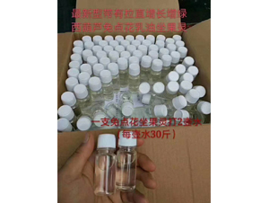 �����J���c(di��n)�������`-��ʥ��