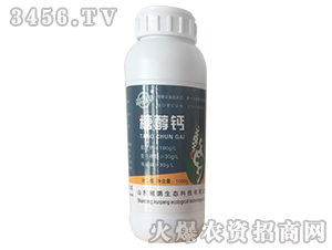 �Ǵ��}-�d�i