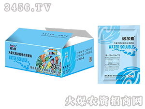 大量元素功能性水溶肥19-19-19+TE-諾爾素-易普豐