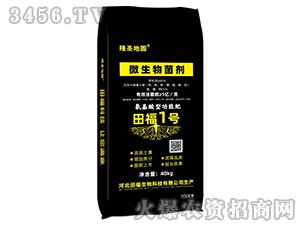 �︣1̖΢�������-¡ʥ�؈A-�︣����