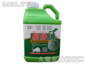 ΢�������-����(sh��)ţ-�����A��