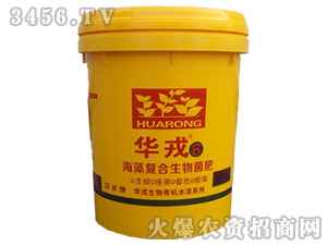 �����(f��)���������-�A��6̖(h��o)-�����A��