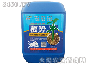 �ך��؏�(f��)��΢�������-����(sh��)ţ-�����A��