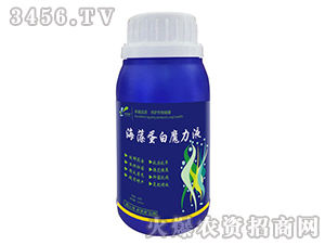 海藻蛋白魔力液-卓萊美-卓美農(nóng)業(yè)