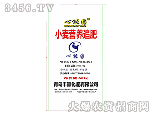 С���I�B(y��ng)׷��-���܈A-�S�A����