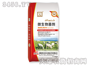 ���(sh��)��΢�������-����