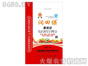 黑優(yōu)壯-潤田保-加陽