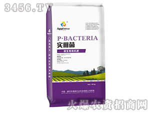 ΢�����ЙC(j��)��-���þ�-�����r(n��ng)�I(y��)