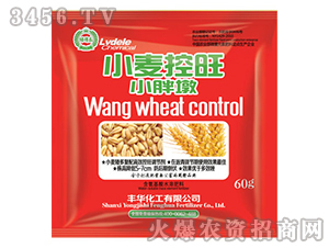 С������-С�ֶ�-�S�A�ʘI(y��)