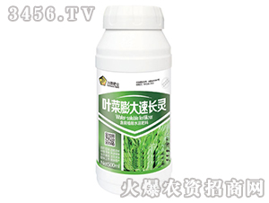 �~��������L(zh��ng)�`��500ml��-�S�A�ʘI(y��)