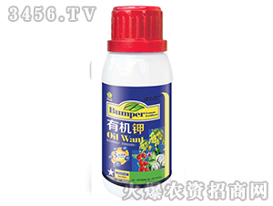 �ЙC(j��)�-�S�A�ʘI(y��)