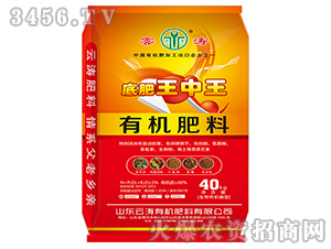 �׷��������ЙC(j��)����-�Ɲ�