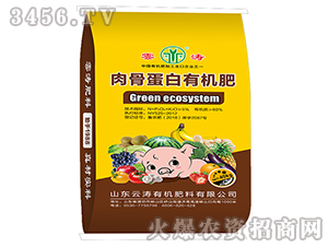 ��ǵ����ЙC(j��)����-�Ɲ�