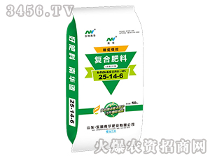 ̼�پ��؏ͺϷ���25-14-6-�|�����A