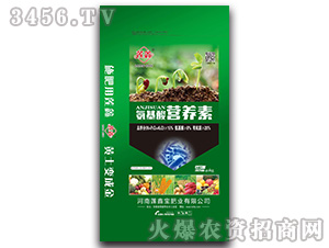 ������I(y��ng)�B(y��ng)Һ-ɏ��