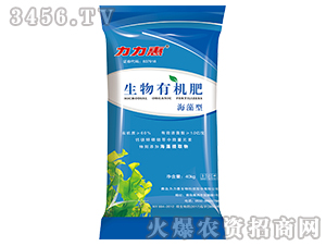 �����ЙC(j��)��-������-������