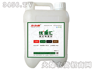 ��(y��u)���R��-������