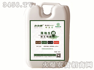 ΢�������-�������-������