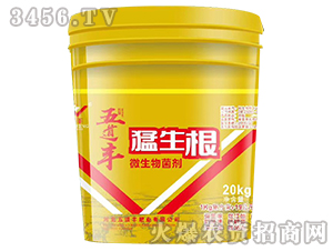 ΢�������-������-����S