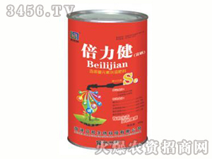 ������-����-��������