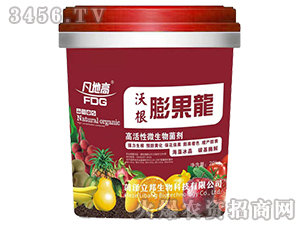 �ָ��������-��������