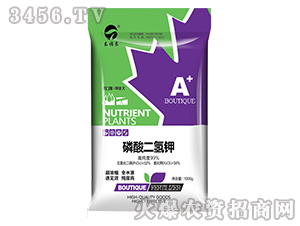 �߼���������-��(l��)��̩