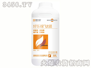 �Ø�(l��)����V-�Ʒ�ķ