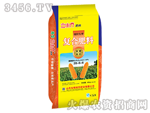 ����ʧ�͏ͺϷ���28-6-6-������-�|�����A