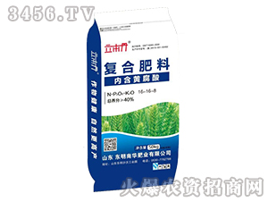 �ͺϷ���16-16-8-������-�|�����A